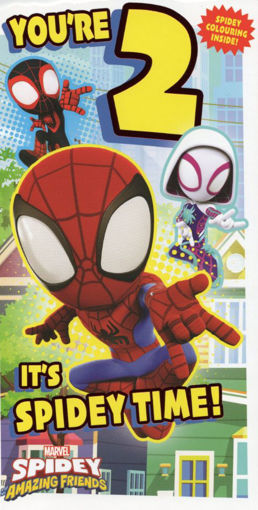 Picture of YOURE 2 ITS SPIDEY TIME BIRTHDAY CARD